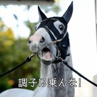 あきら🐼私のアカウントもうここにしかない❗✴️ (@efyn7azagh9lqwa) Twitter profile photo