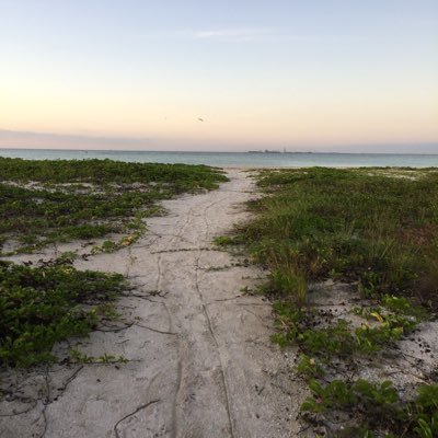 190sergi's profile picture. 