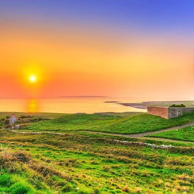 Designthreads1's profile picture. 