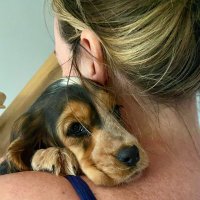 Sezza (@sezzarid) 's Twitter Profile Photo