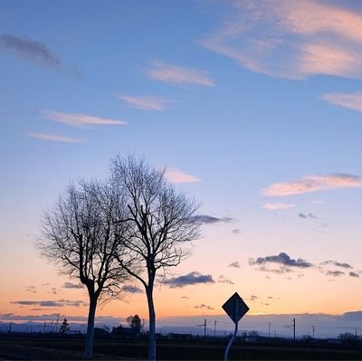 空が好きです。夕焼けと夕暮れが大好物。虹を見たら喜びます。人見知りで話しかけるのが苦手…フォロバはとてもとても慎重です  エロ系はブロックします 無断転載、保存は御遠慮ください