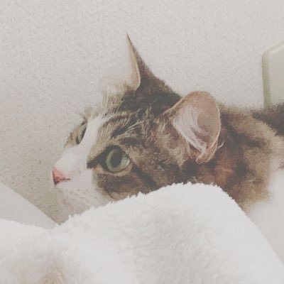 もかさんのプロフィール画像