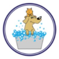 safe cat (@saf_cat) 's Twitter Profile Photo safe cat (@saf_cat) 's Twitter Profile Photo