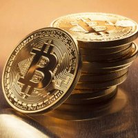 Dom (@dom88237852) 's Twitter Profile Photo