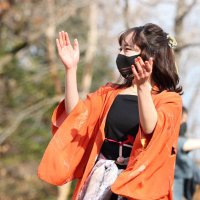 しょうこ (@sshk_ouo) Twitter profile photo