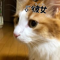 りょっち(@Ryo_llb) 's Twitter Profile Photo