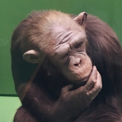 Bikkuriさんのプロフィール画像