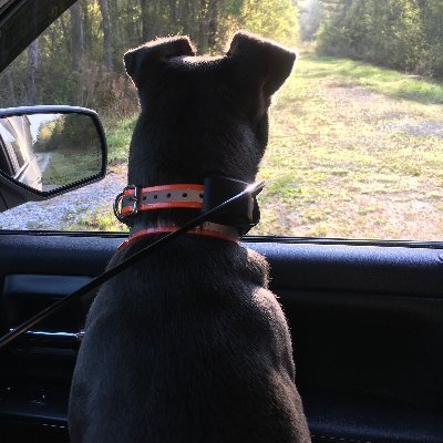 phowardHLC's profile picture. Saved by God's grace; Love being “Pa";  Retired; Proud Hokie! Tweets my own. #Hokies #Luv2RunHounds