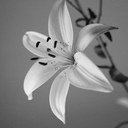 Eryn Roberts - @eryn_roberts - Twitter