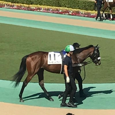 2en_5000_84's profile picture. 2025年は函館札幌競馬場に遠征したい。久々のG1出走も牧場見学もできるといいなあ。無事是名馬！