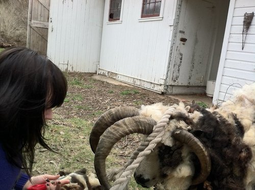 nicholeheld's profile picture. Winter-lover, storyteller. Social listening for 3M.