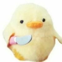 van (@vaanzita) 's Twitter Profile Photo