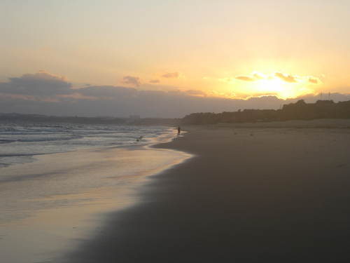 JaviFrg's profile picture. Hice un viaje a Javea, me comieron el tarro y me hice Twitter