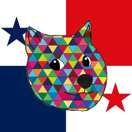 Dogecoin Panama
#Doge and #NFTs 💸🚀
