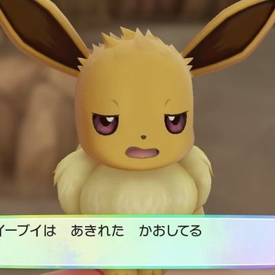 トンちゃんさんのプロフィール画像