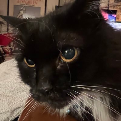 ColoneyJen's profile picture. Smile. You’re on Candid Camera.