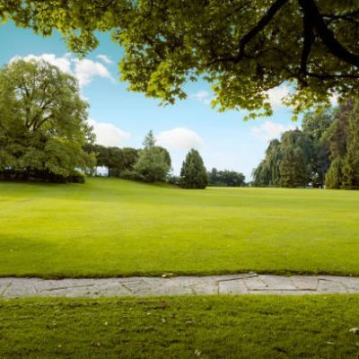 VinayPa57968857's profile picture. Vinaydp