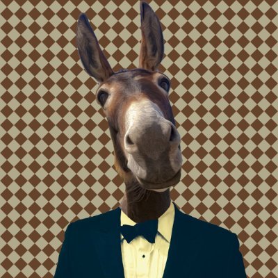 SanchoValstein's profile picture. It’s inadequate, this elaborate floral display.