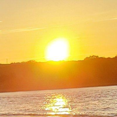 JudgeMcJ's profile picture. 