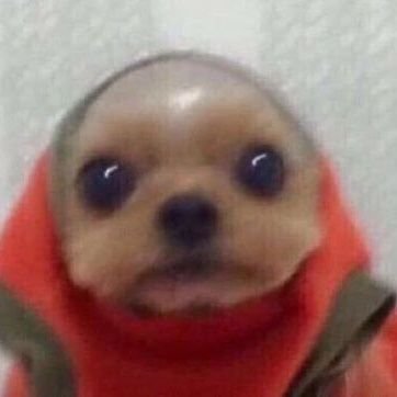 Xumbalaca's profile picture. Malviviente tatuado y buen muchacho a tiempo completo.