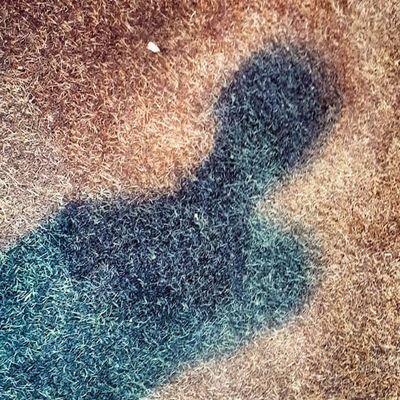 amiraly_ir's profile picture. 