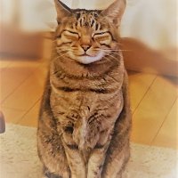ふぁみ (@fami1002) 's Twitter Profile