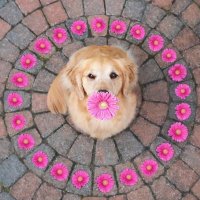 GRRNT (@grrnt) 's Twitter Profile