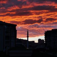 Haktan (@baybora72) 's Twitter Profile