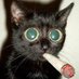 🇨🇦 Smokey 🇨🇦 (@420iloveweed) Twitter profile photo 🇨🇦 Smokey 🇨🇦 (@420iloveweed) Twitter profile photo