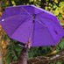 Pain in the Rain (@painintherain1) Twitter profile photo Pain in the Rain (@painintherain1) Twitter profile photo