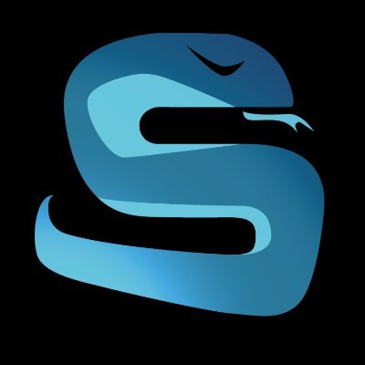 sluuters's profile picture. Comunidad de NFTs, criptomonedas, bolsa y sneakers. Link de discord en nuestra bio!