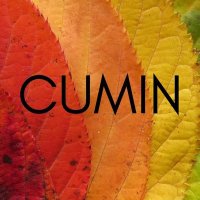 CUMIN(@CUMINetwork) 's Twitter Profileg