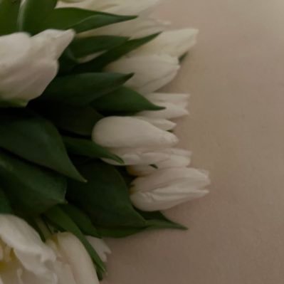 charlotte_mtths's profile picture. student