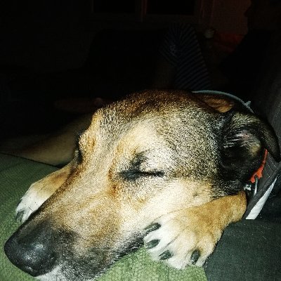 juanitoDelManol's profile picture. “Jamais je ne voudrais faire partie d'un club qui accepterait de m'avoir pour membre.”