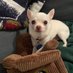 Donna&Dudley (@thedonnabruner) Twitter profile photo Donna&Dudley (@thedonnabruner) Twitter profile photo
