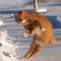 Mosey (@zmosey17z) 's Twitter Profile Photo