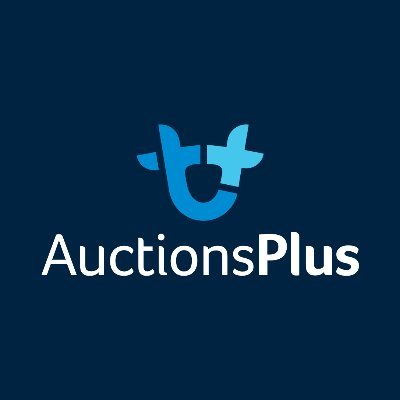 AuctionsPlus Profile Picture