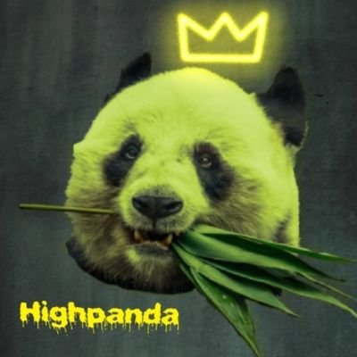 Each week Kyle and Tim will come to metaphorical blows over animals in unlikely scenarios. everything is on the line to determine who will be the highpanda.