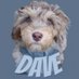 Dave the Doodle Dog 🐾 (@davethe_doodle) Twitter profile photo