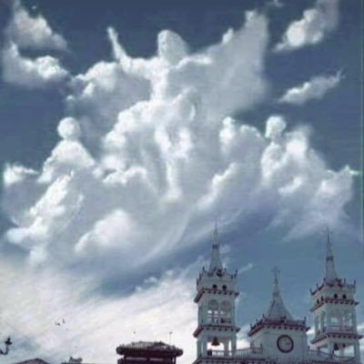 mttacv's profile picture. Amen, amen I say to you: unless the grain of wheat falling into the ground die, itself remaineth alone. But if it die, it bringeth forth much fruit.” John 12:24