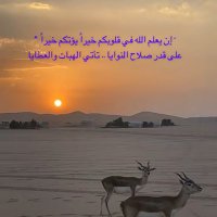✨بنت الوطن✨ (@m_m_alh) 's Twitter Profile