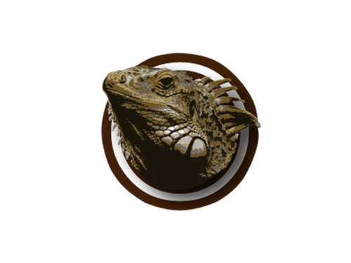 CaporoPublicity's profile picture. 