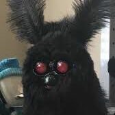 Sarabahhh's profile picture. Cuenta hate del pretérito perfecto y de Agostiño de Hipona