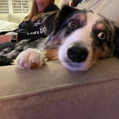 hightrees4_stac's profile picture. 