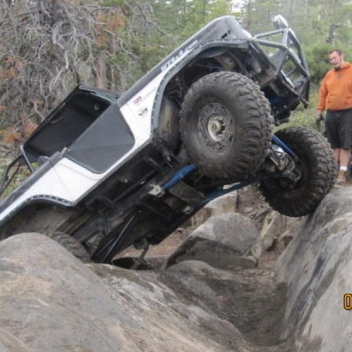 dblue351's profile picture. 