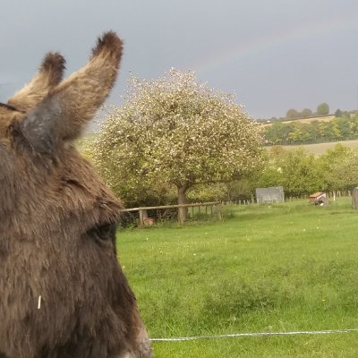 Mum-of-4, wife-of-1, lapsed Ecologist, Coordinates Road Farm Countryways CIC, for encouraging people, learning, biodiversity, good farming. Views my own.