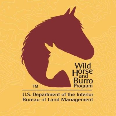 The official Twitter account for @BLMNational's Wild Horse and Burro Program. For complete list of BLM accounts, visit: https://t.co/meO8TCgnu7