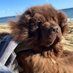 GoldenX (@goldenxtrader) Twitter profile photo GoldenX (@goldenxtrader) Twitter profile photo