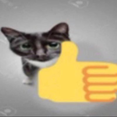 robloxplayer179's profile picture.