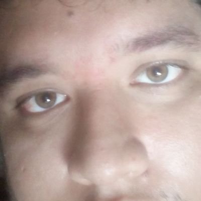LuizHen890's profile picture. 